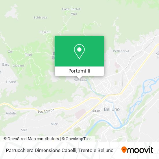Mappa Parrucchiera Dimensione Capelli