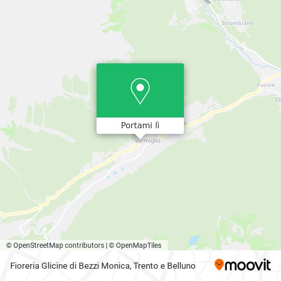 Mappa Fioreria Glicine di Bezzi Monica