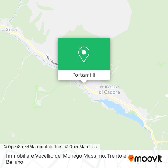 Mappa Immobiliare Vecellio del Monego Massimo