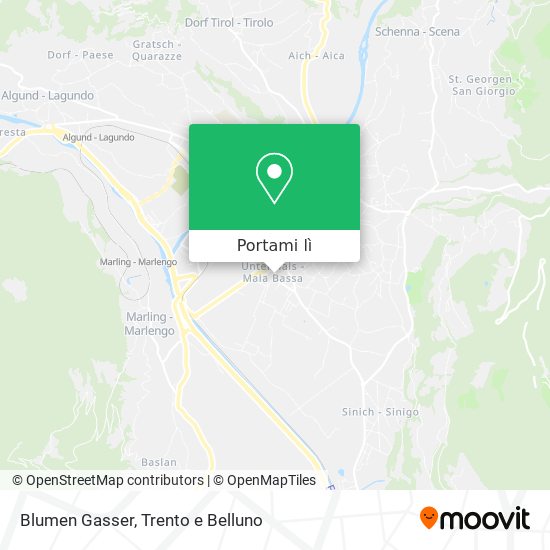 Mappa Blumen Gasser