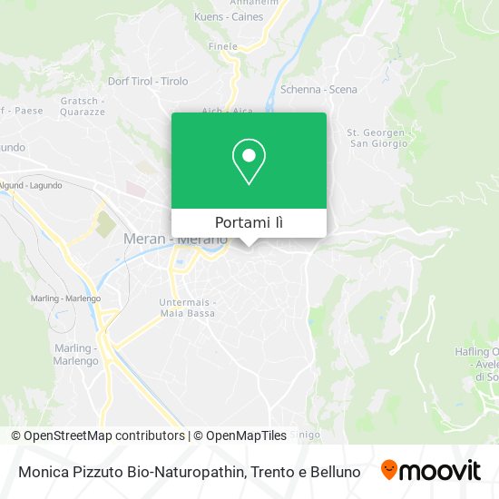 Mappa Monica Pizzuto Bio-Naturopathin