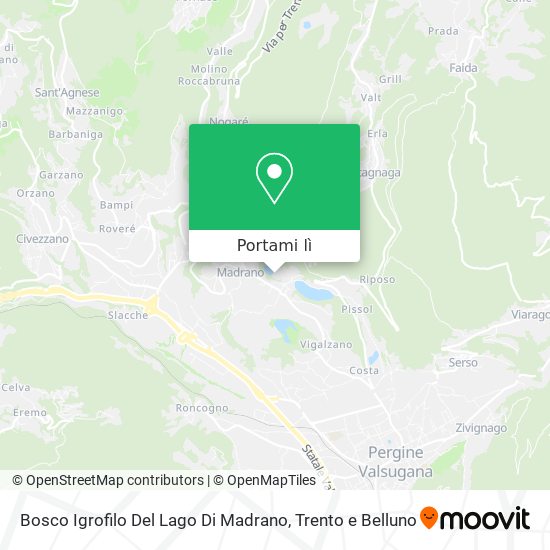 Mappa Bosco Igrofilo Del Lago Di Madrano