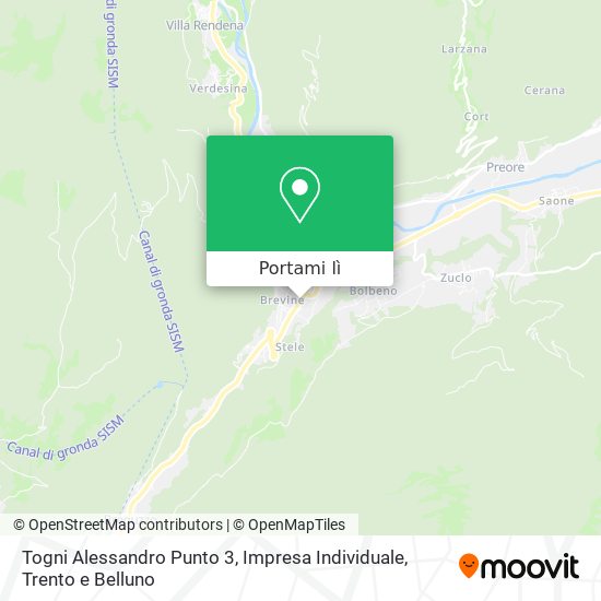 Mappa Togni Alessandro Punto 3, Impresa Individuale