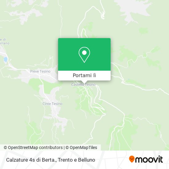 Mappa Calzature 4s di Berta.