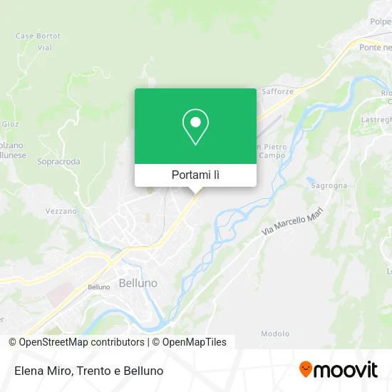 Mappa Elena Miro