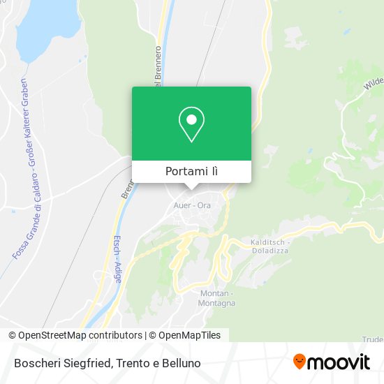 Mappa Boscheri Siegfried