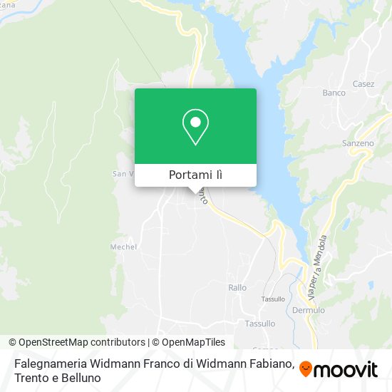 Mappa Falegnameria Widmann Franco di Widmann Fabiano