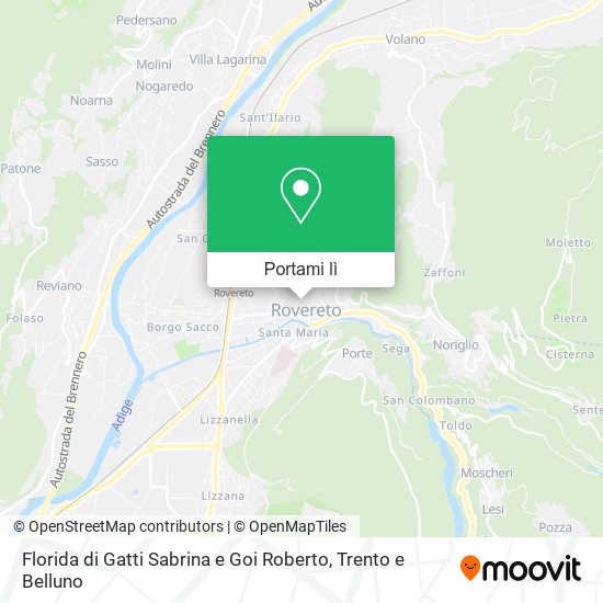 Mappa Florida di Gatti Sabrina e Goi Roberto