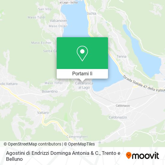 Mappa Agostini di Endrizzi Dominga Antonia & C.