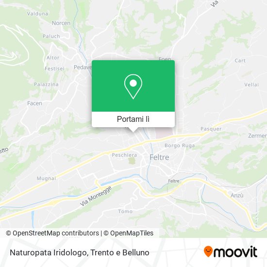 Mappa Naturopata Iridologo