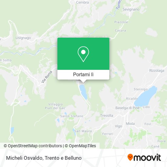 Mappa Micheli Osvaldo
