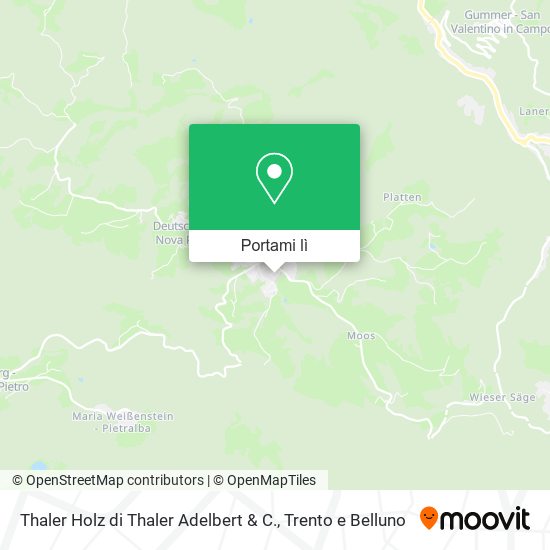 Mappa Thaler Holz di Thaler Adelbert & C.