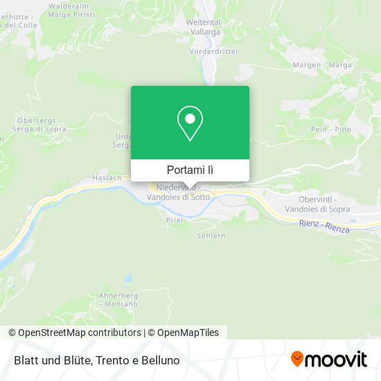Mappa Blatt und Blüte