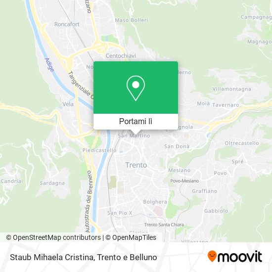 Mappa Staub Mihaela Cristina