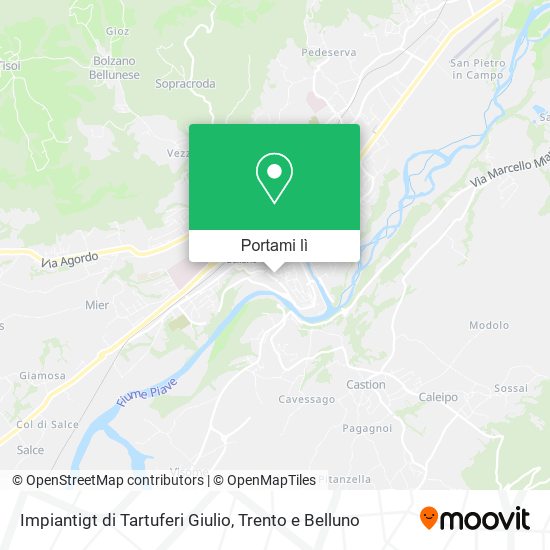 Mappa Impiantigt di Tartuferi Giulio