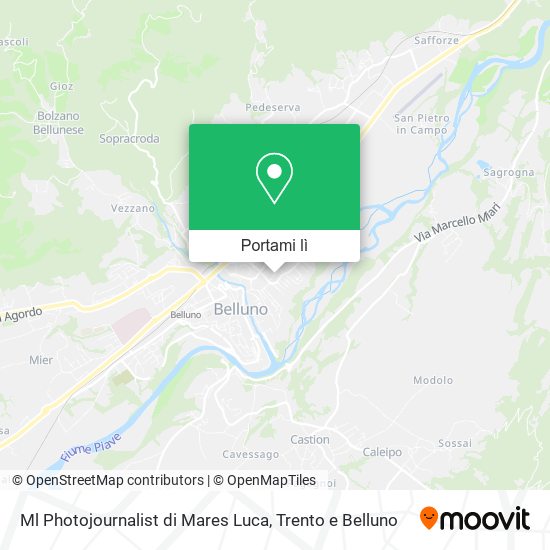 Mappa Ml Photojournalist di Mares Luca