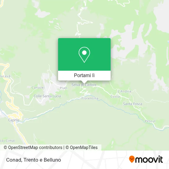 Mappa Conad
