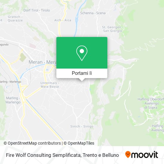 Mappa Fire Wolf Consulting Semplificata