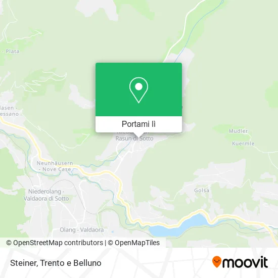 Mappa Steiner