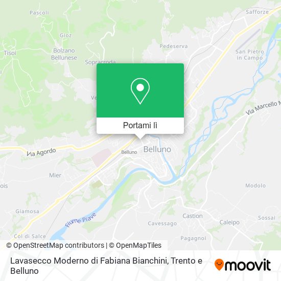 Mappa Lavasecco Moderno di Fabiana Bianchini