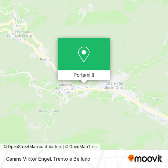 Mappa Canins Viktor Engel