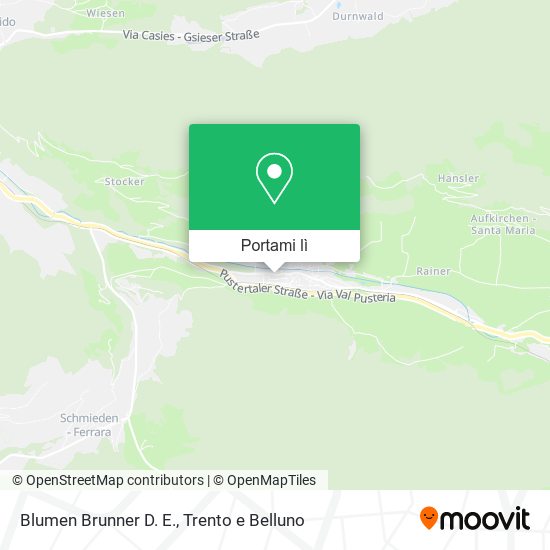 Mappa Blumen Brunner D. E.