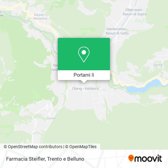 Mappa Farmacia Steifler