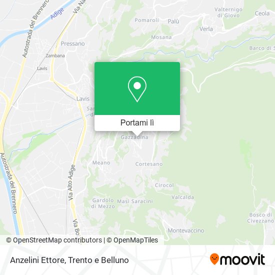 Mappa Anzelini Ettore