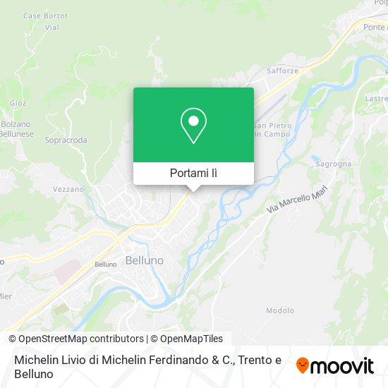 Mappa Michelin Livio di Michelin Ferdinando & C.