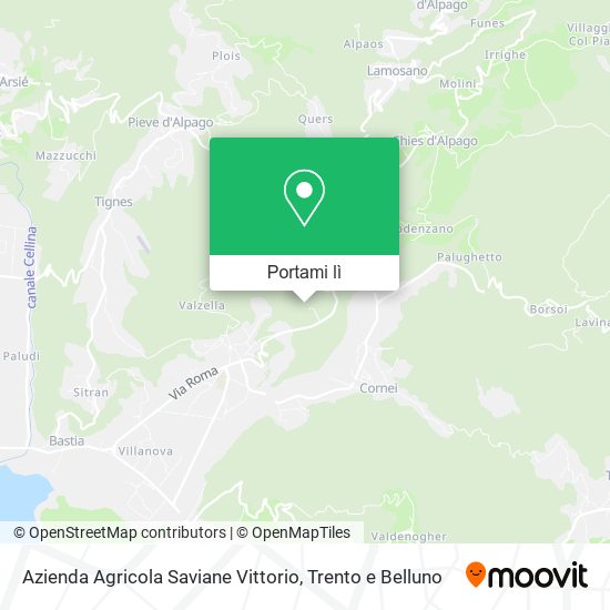 Mappa Azienda Agricola Saviane Vittorio
