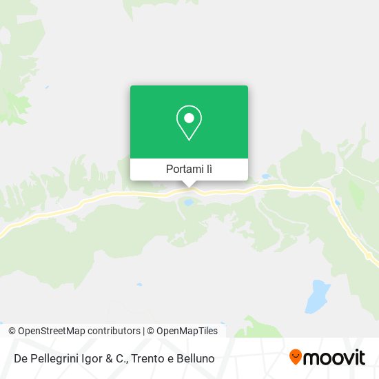 Mappa De Pellegrini Igor & C.