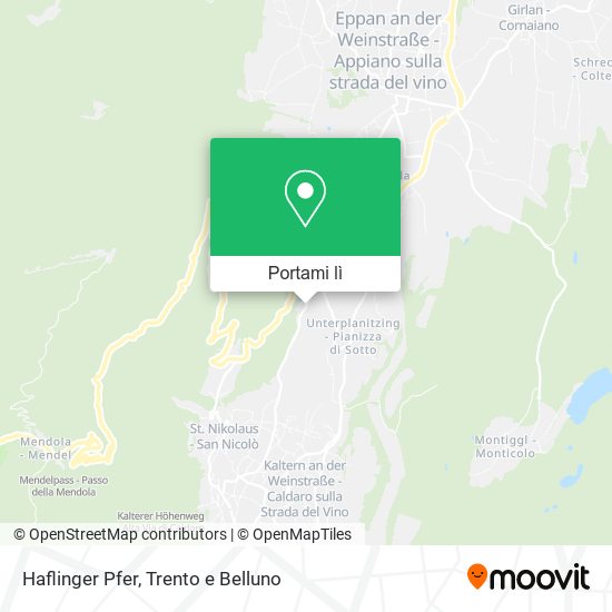 Mappa Haflinger Pfer