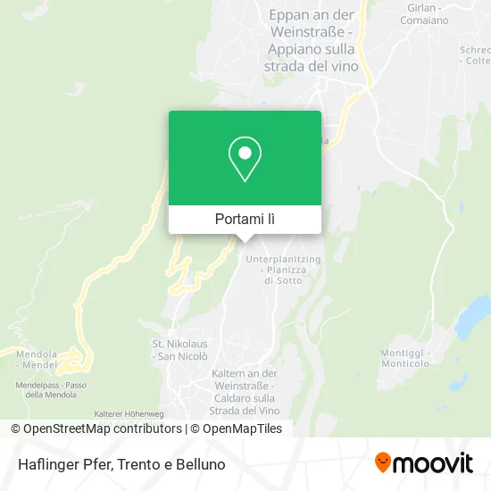 Mappa Haflinger Pfer