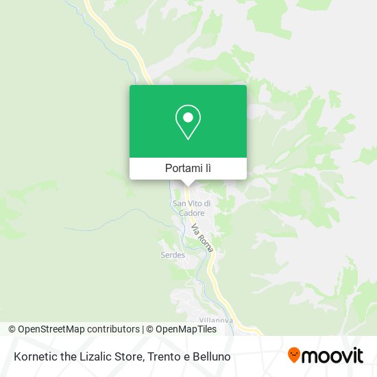 Mappa Kornetic the Lizalic Store