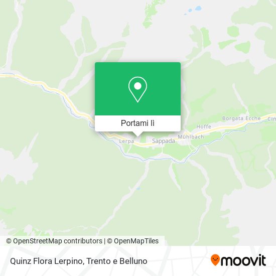 Mappa Quinz Flora Lerpino