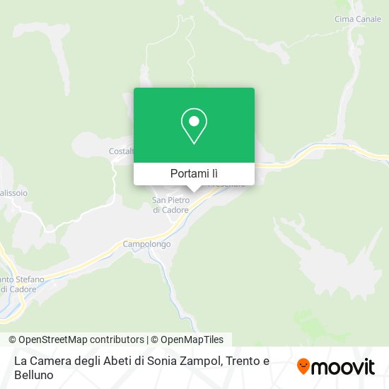 Mappa La Camera degli Abeti di Sonia Zampol