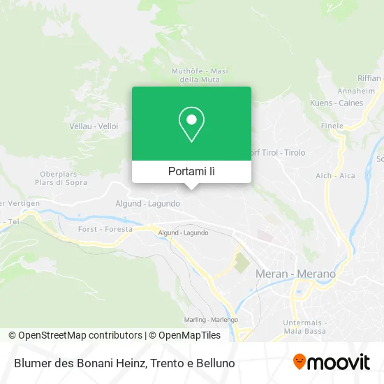 Mappa Blumer des Bonani Heinz
