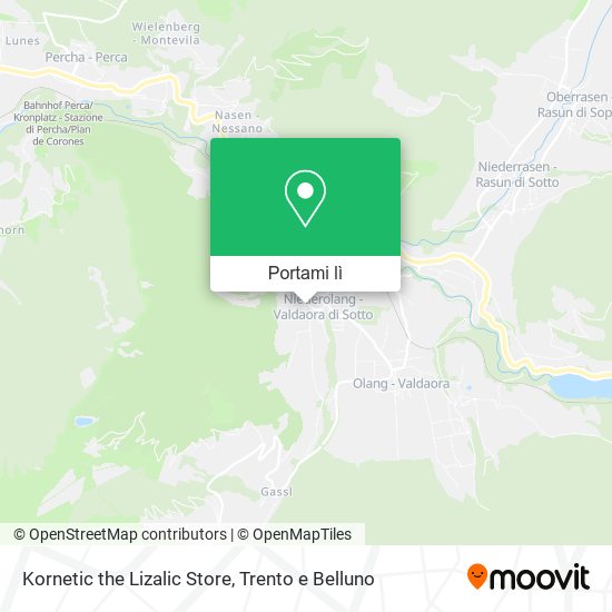 Mappa Kornetic the Lizalic Store