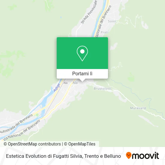 Mappa Estetica Evolution di Fugatti Silvia