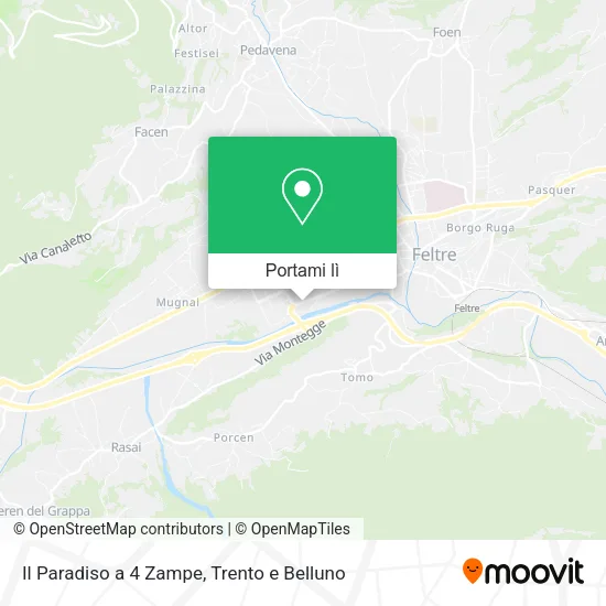 Mappa Il Paradiso a 4 Zampe