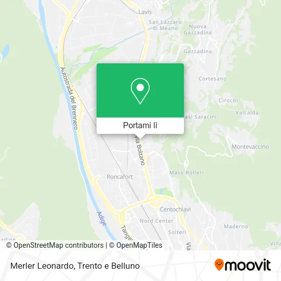 Mappa Merler Leonardo
