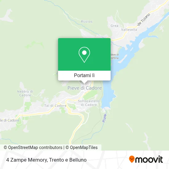 Mappa 4 Zampe Memory