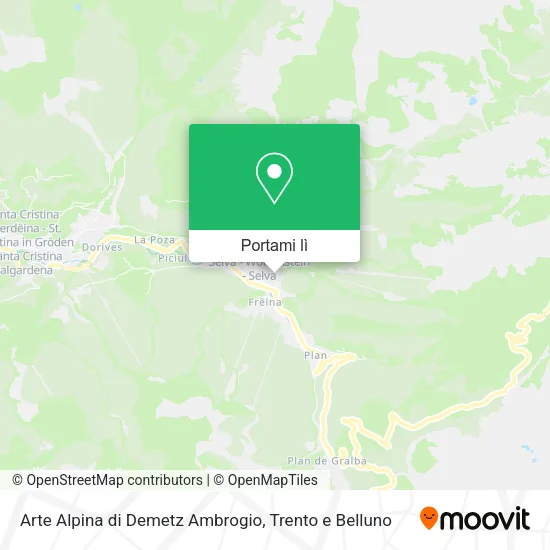 Mappa Arte Alpina di Demetz Ambrogio