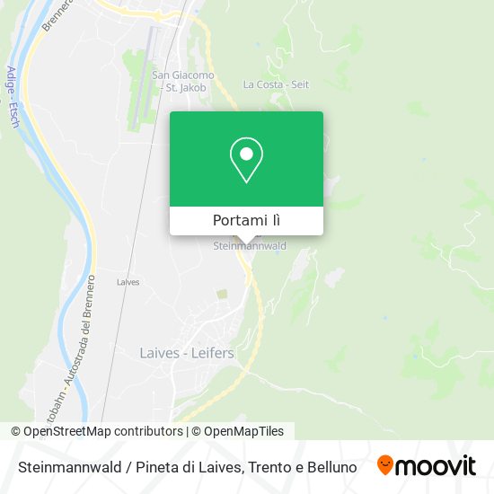 Mappa Steinmannwald / Pineta di Laives