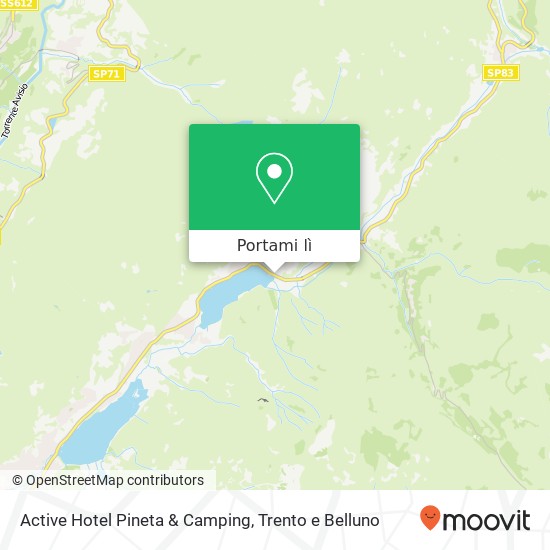 Mappa Active Hotel Pineta & Camping, Via Camillo Benso di Cavour 38043 Bedollo