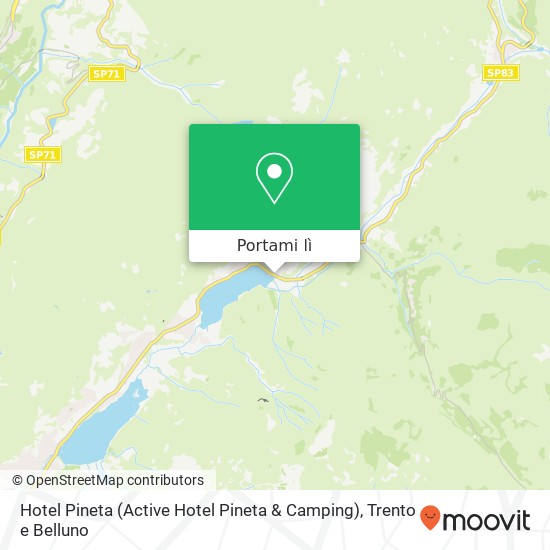 Mappa Hotel Pineta (Active Hotel Pineta & Camping)