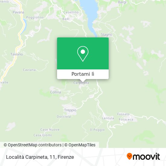 Mappa Località Carpineta, 11