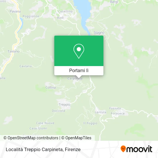 Mappa Località Treppio Carpineta