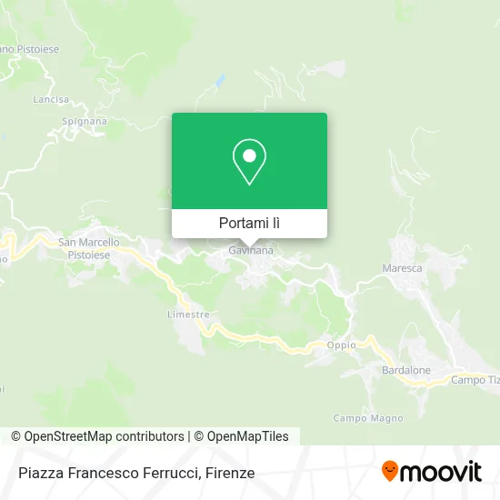 Mappa Piazza Francesco Ferrucci