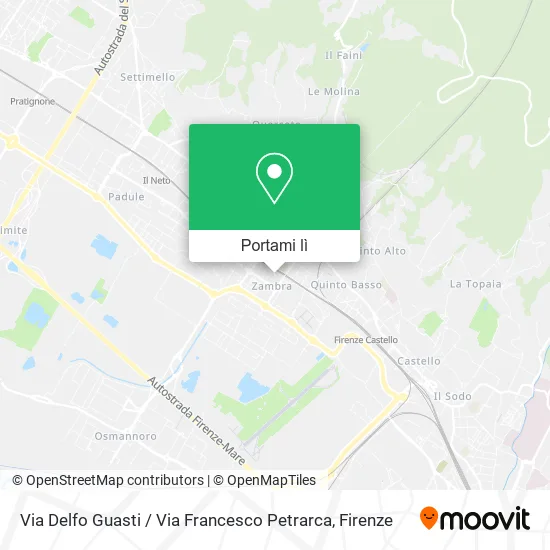 Mappa Via Delfo Guasti / Via Francesco Petrarca